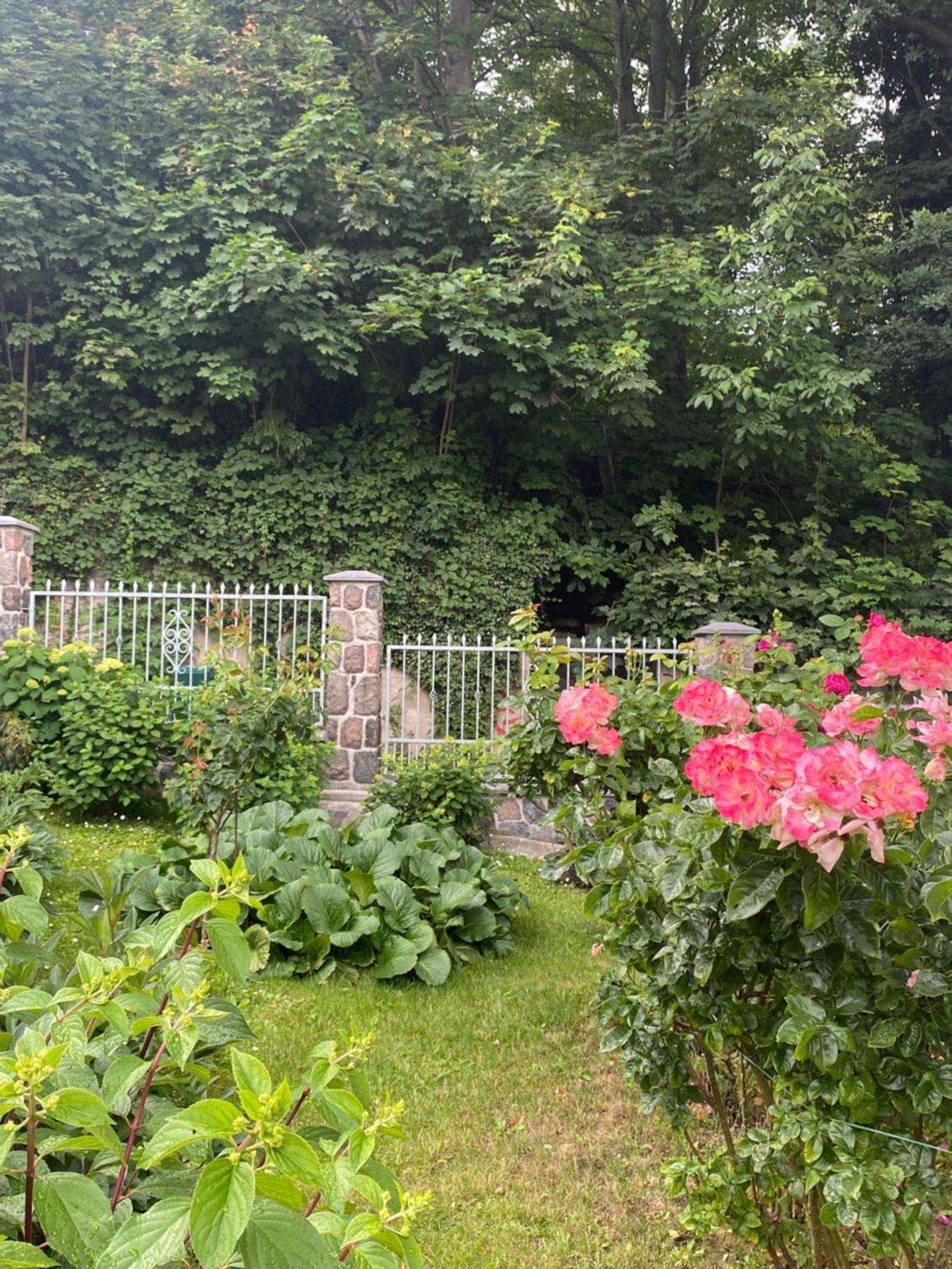 Na Kamiennej Homestay